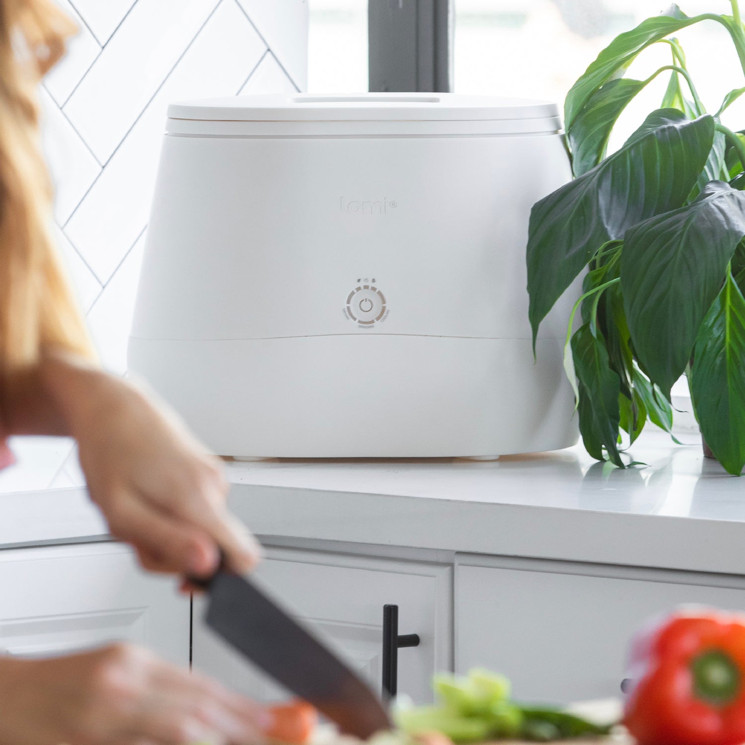 Lomi - Kitchen Countertop Food Recycler